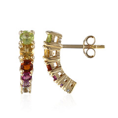 Orecchini in argento con Peridoto della Birmania