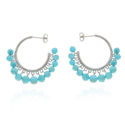 Orecchini in argento con Turchese Sleeping Beauty (Anne Bever)