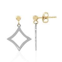 Orecchini in argento