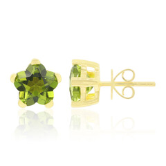 Orecchini in oro con Peridoto