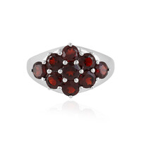 Anello in argento con Granato Mozambico
