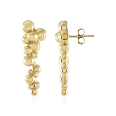 Orecchini in argento