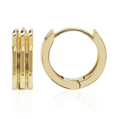 Orecchini in argento