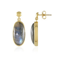 Orecchini in argento con Labradorite