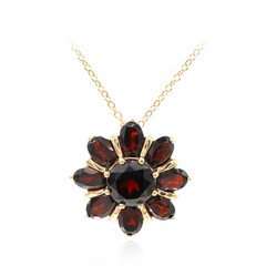 Collana in argento con Granato