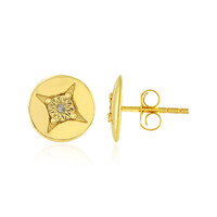 Orecchini in argento con Diamante PK (J)