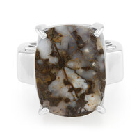 Anello da uomo in argento con Quarzo Dinosauro
