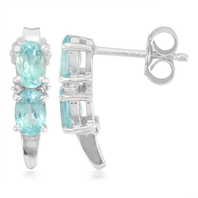Orecchini in argento con Apatite Blu