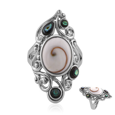 Anello in argento con Occhio di Shiva (Art of Nature)