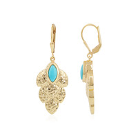 Orecchini in argento con Turchese Sleeping Beauty