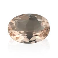 Gemma con Morganite Pesca