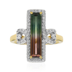 Anello in oro con Tormalina Bicolore
