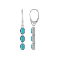 Orecchini in argento con Turchese