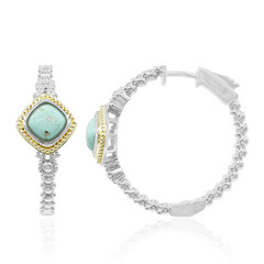 Orecchini in argento con Turchese (Dallas Prince Designs)