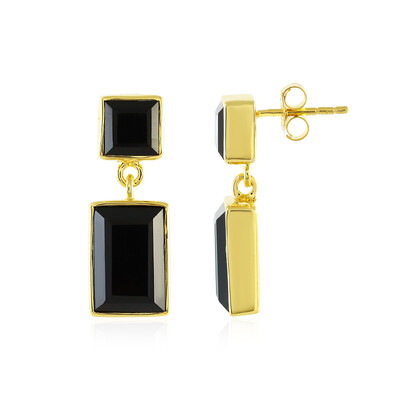 Orecchini in argento con Onice Nero