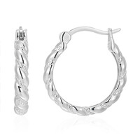 Orecchini in argento