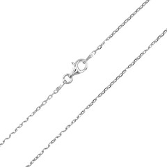 Catenina in argento