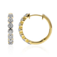 Orecchini in oro con Diamante IF (D)