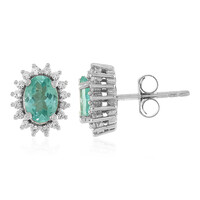 Orecchini in argento con Apatite Blu