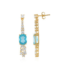 Orecchini in argento con Topazio Paraiba
