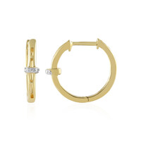Orecchini in argento con Diamante I2 (I)
