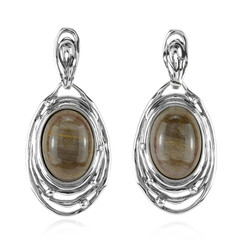 Orecchini in argento con Legno Fossile