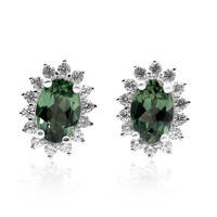 Orecchini in argento con Apatite Cromo
