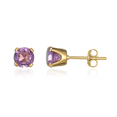Orecchini in argento con Ametista