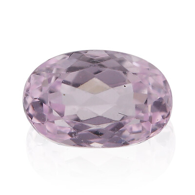 Gemma con Kunzite Brasiliana