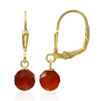 Orecchini in argento con Onice Rossa