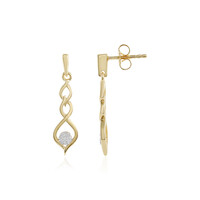 Orecchini in argento con Diamante I2 (J)