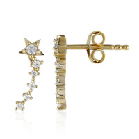 Orecchini in argento con Zircone