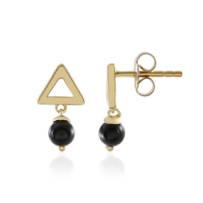 Orecchini in argento con Onice Nero