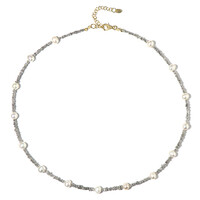Collana in argento con Diamante Color Argento
