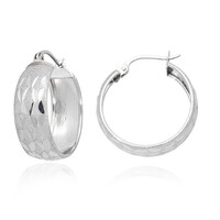Orecchini in argento
