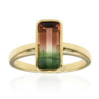 Anello in oro con Tormalina Bicolore