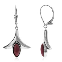 Orecchini in argento con Rodonite (Desert Chic)