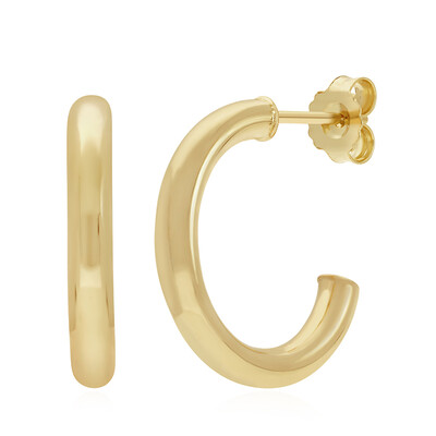 Orecchini in argento
