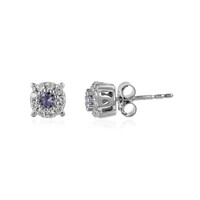 Orecchini in argento con Tanzanite