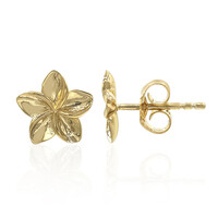 Orecchini in argento