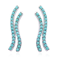 Orecchini in argento con Turchese Kingman (Anne Bever)