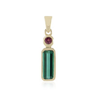 Ciondolo in oro con Tormalina Verde di Benedito (Adela Gold)