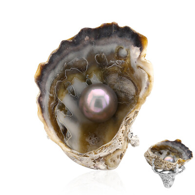 Anello in argento con Conchiglia (TPC)