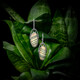 Orecchini in argento con Diaspro Zebrato (Bali Barong)