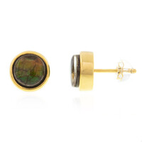 Orecchini in argento con Ammolite