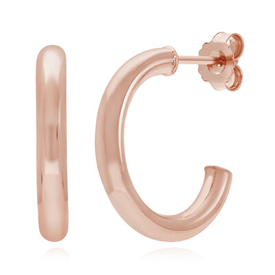 Orecchini in argento