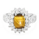 Anello in argento con Occhio di Tigre