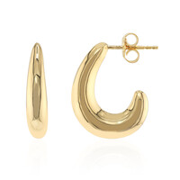 Orecchini in argento
