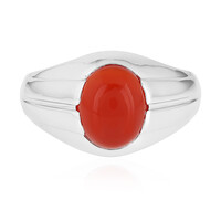 Anello da uomo in argento con Onice Rossa