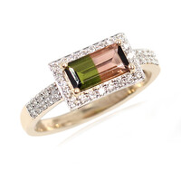Anello in oro con Tormalina Bicolore (AMAYANI)